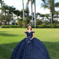 Navy Blue quinceañera dress Sweet 15 16 Prom Party Ball Gowns     fg5523