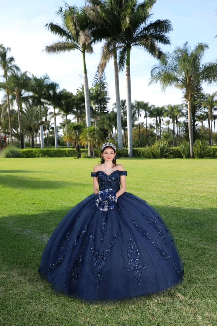 Navy Blue quinceañera dress Sweet 15 16 Prom Party Ball Gowns     fg5523