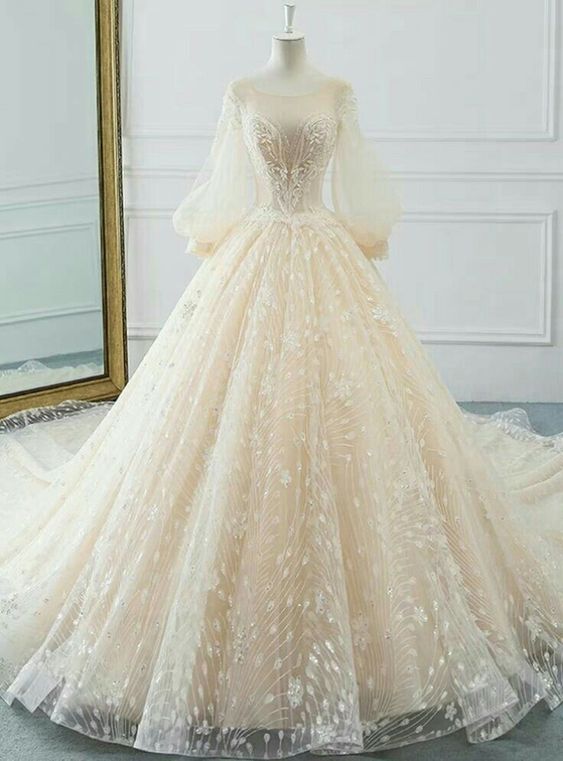 Vintage Long Sleeve Wedding Dresses Sexy Appliques Lace Ball Gown Wedding Dresses     fg5419