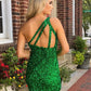 Sheath/Column One-Shoulder Sleeveless Sequins Homecoming Dresses      fg5795