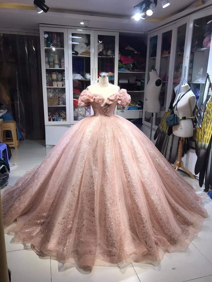 Champagne Pink Sparkly Dress,Long Evening Dress, Princess Sparkly Pink Dress, Quinceanera Dress Ball Gowns      fg5261