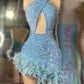 Blue Prom Dresses, Glitter Fashion Party Dresses, Feather Mini Birthday Party Dresses,Homecoming Dresses      fg5293