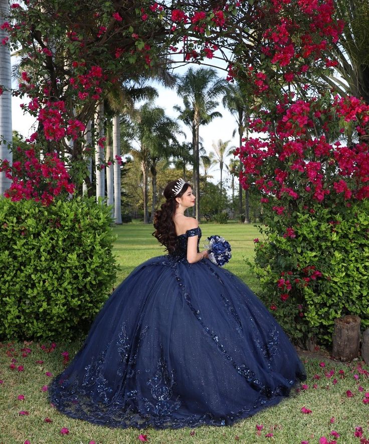 Navy Blue quinceañera dress Sweet 15 16 Prom Party Ball Gowns     fg5523