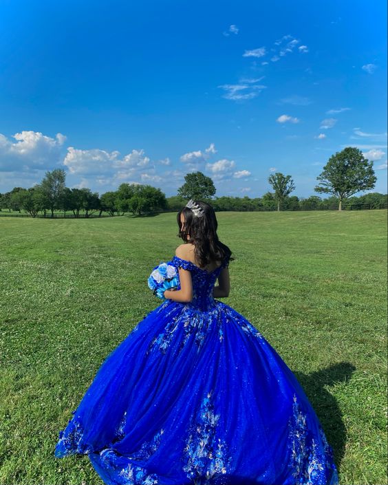 Royal blue quinceañera dress Ball Gown Evening Dress      fg3938