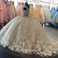 Sweet 16 Quinceanera Dresses Floral Applique Tulle Ball Gown      fg6823