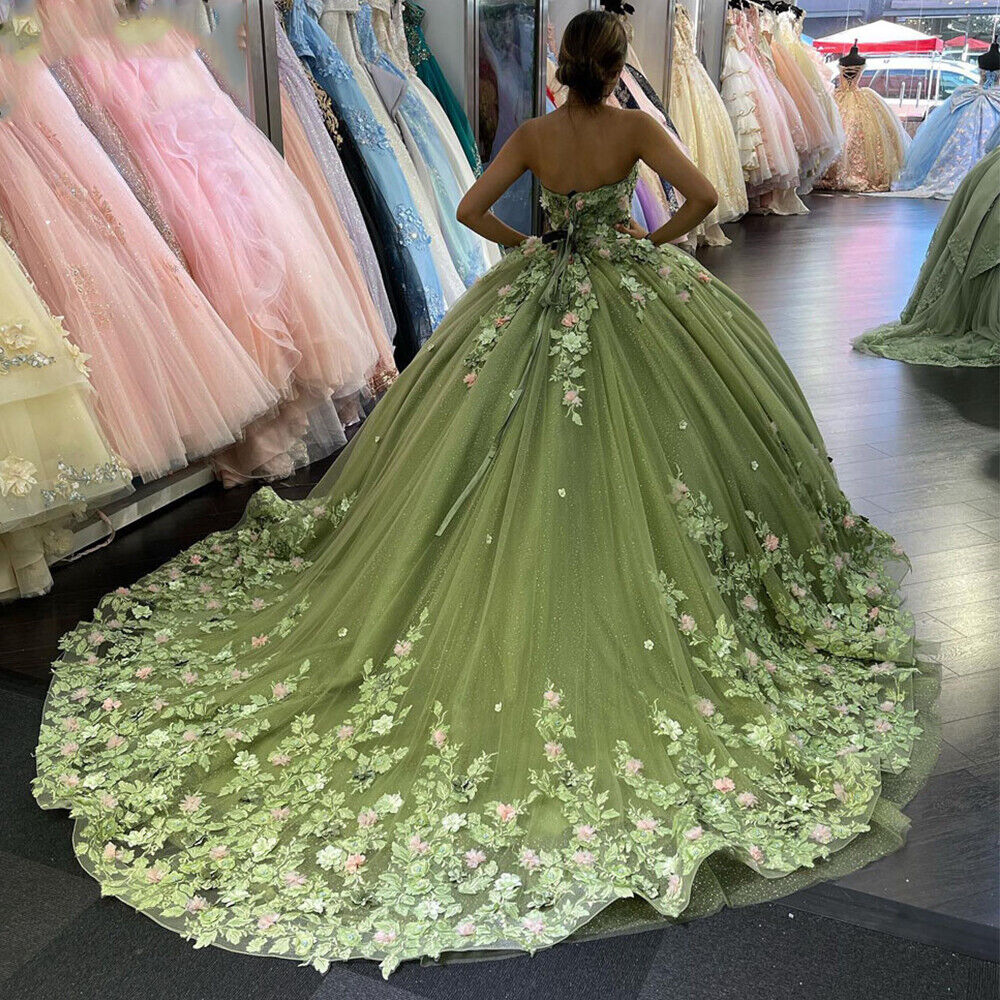 Quinceanera Dresses Ball Gown Lace Ball Gown Sweet 16 Dress With Flowers       fg486