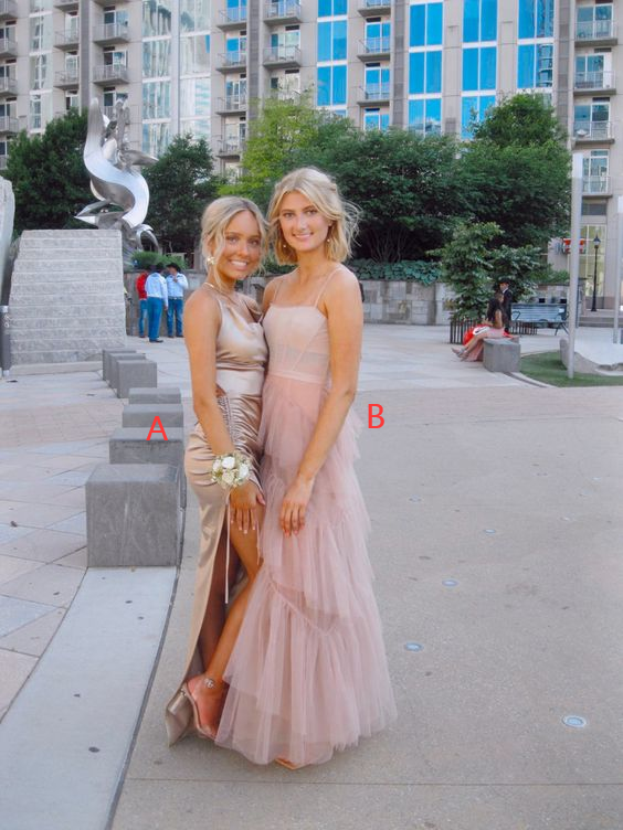 Charming Prom Dress Pink Evening Dress   fg2733